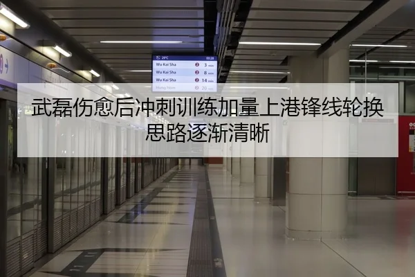 武磊伤愈后冲刺训练加量上港锋线轮换思路逐渐清晰
